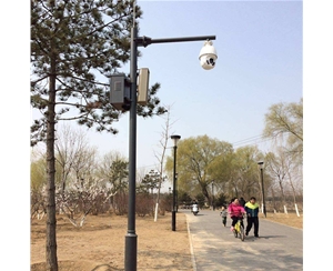 喀什路灯监控杆-LB-03